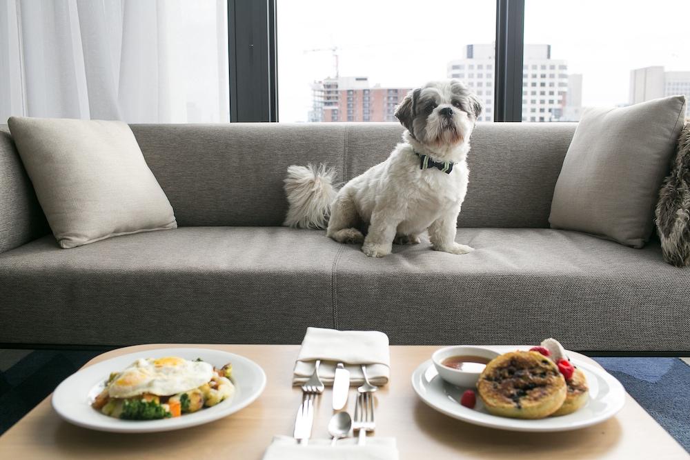 Andaz Ottawa Byward Market, By Hyatt מראה חיצוני תמונה